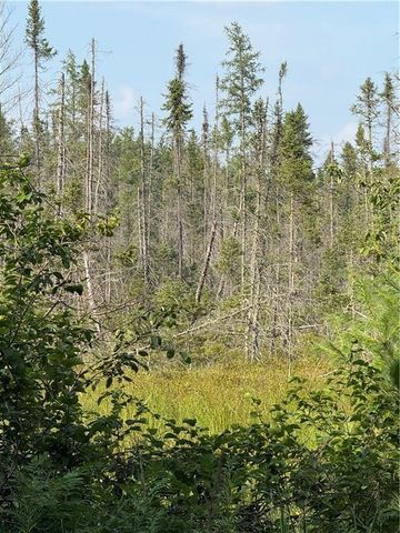 0 Tagalder Trail, Hayward, WI 54843