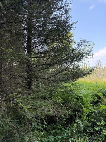 0 Tagalder Trail, Hayward, WI 54843