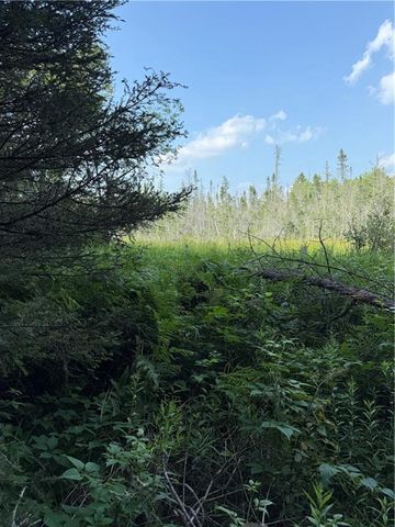 0 Tagalder Trail, Hayward, WI 54843