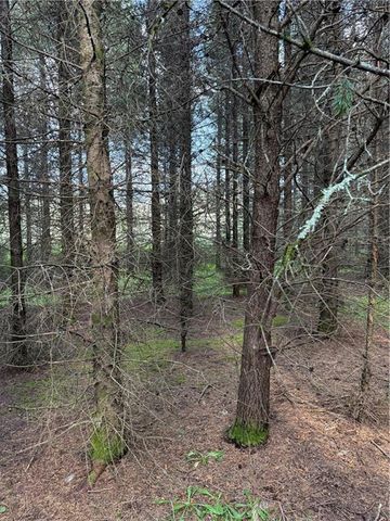 0 Tagalder Trail, Hayward, WI 54843