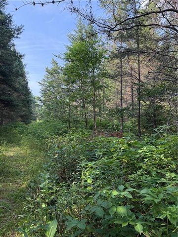 0 Tagalder Trail, Hayward, WI 54843