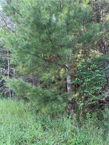 0 Tagalder Trail, Hayward, WI 54843