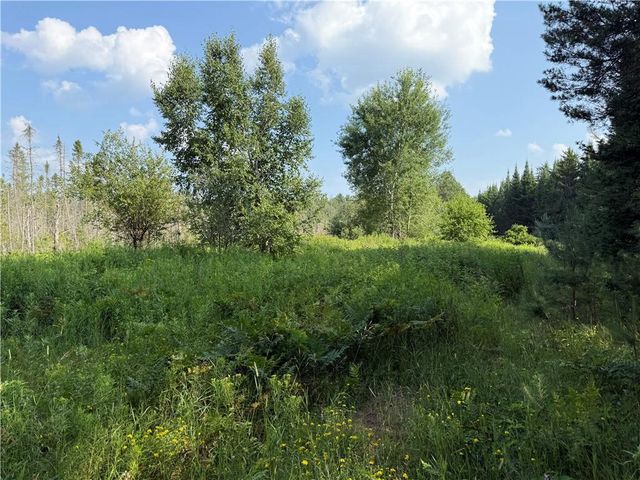 0 Tagalder Trail, Hayward, WI 54843