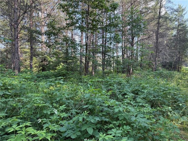 0 Tagalder Trail, Hayward, WI 54843