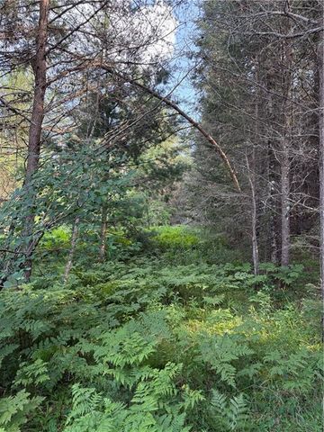 0 Tagalder Trail, Hayward, WI 54843