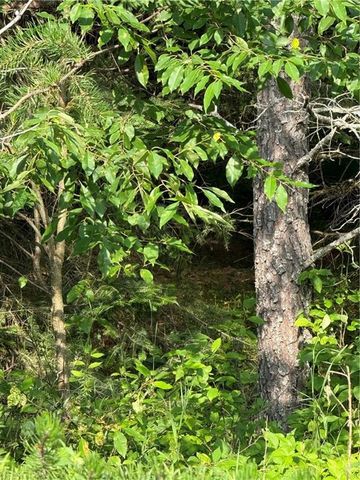 0 Tagalder Trail, Hayward, WI 54843