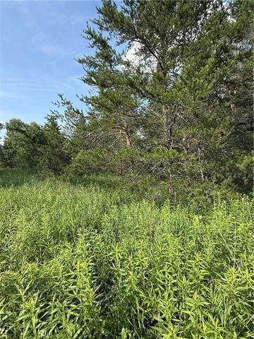 0 Tagalder Trail, Hayward, WI 54843