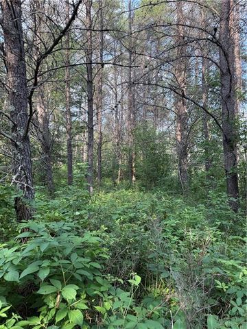 0 Tagalder Trail, Hayward, WI 54843