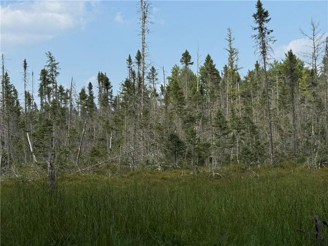 0 Tagalder Trail, Hayward, WI 54843