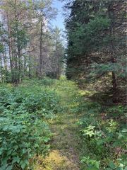 0 Tagalder Trail, Hayward, WI 54843