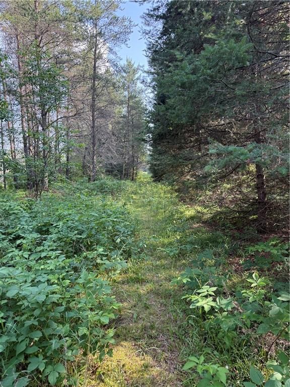 0 Tagalder Trail, Hayward, WI 54843