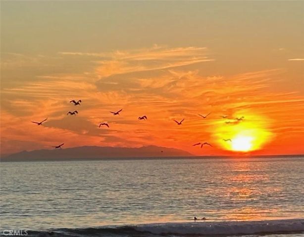 1200 Pacific Coast 426, Huntington Beach, CA 92648
