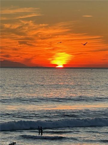1200 Pacific Coast 426, Huntington Beach, CA 92648