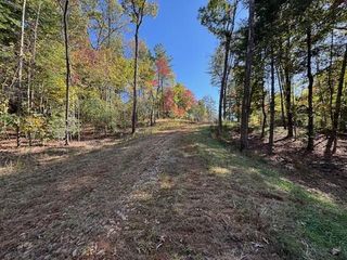 0 Pinelog Road, Young Harris, GA 30582