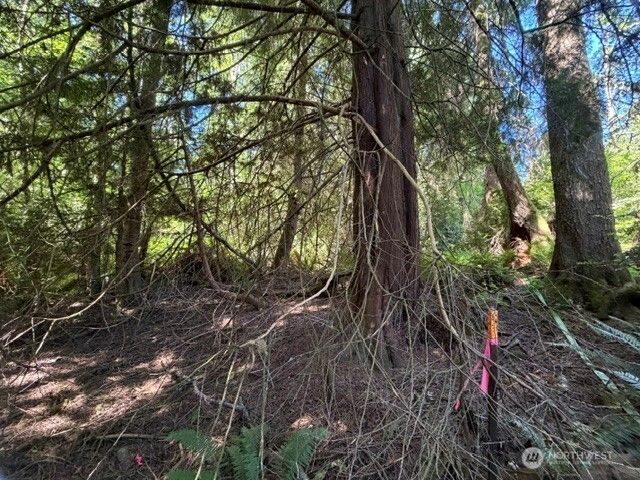 0 Weyers Lane SW, Port Orchard, WA 98366