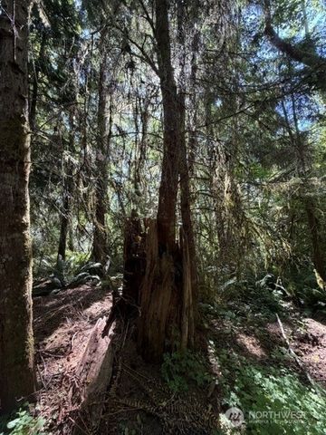 0 Weyers Lane SW, Port Orchard, WA 98366