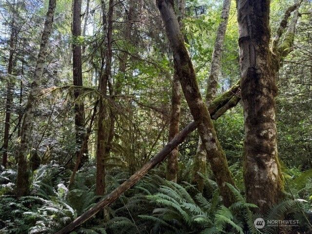 0 Weyers Lane SW, Port Orchard, WA 98366
