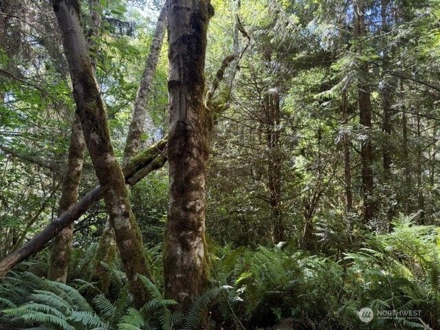 0 Weyers Lane SW, Port Orchard, WA 98366