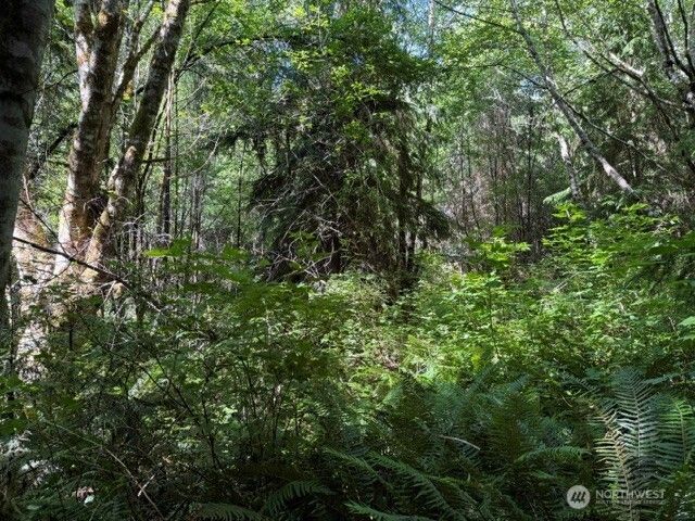 0 Weyers Lane SW, Port Orchard, WA 98366