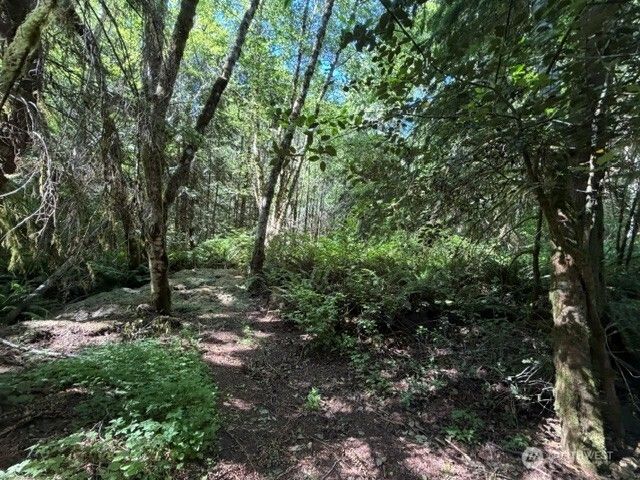 0 Weyers Lane SW, Port Orchard, WA 98366
