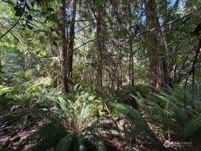 0 Weyers Lane SW, Port Orchard, WA 98366
