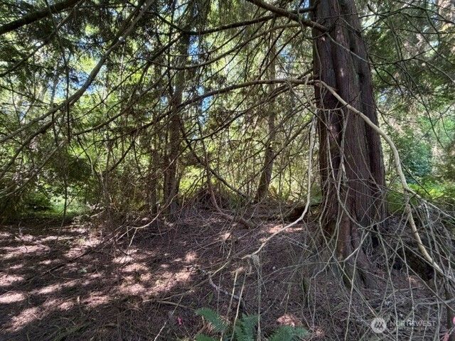 0 Weyers Lane SW, Port Orchard, WA 98366