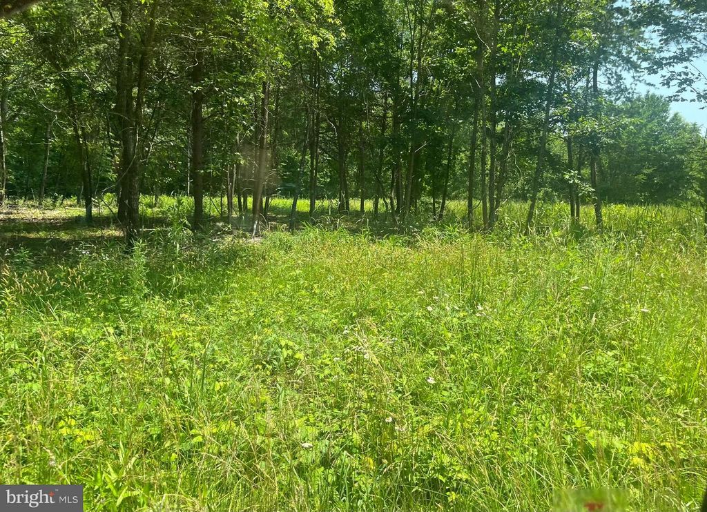 LOT 2 KENTUCKY SPRINGS RD, Bumpass, VA 23024