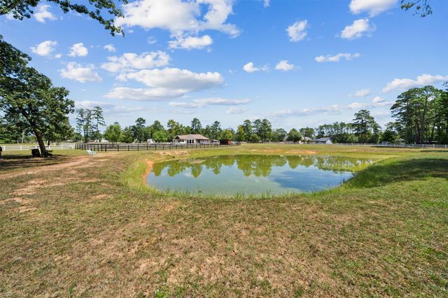 46509 Mcgill Road, Plantersville, TX 77363