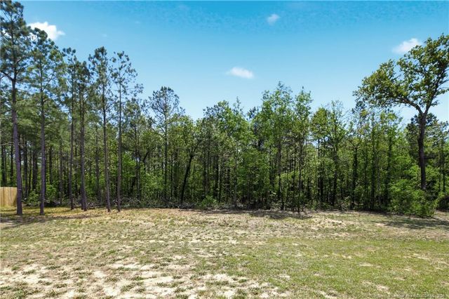 258 Collier Gate Street, Linden, NC 28356