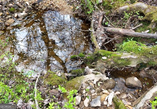 138 Paradise Lane, Blairsville, GA 30512