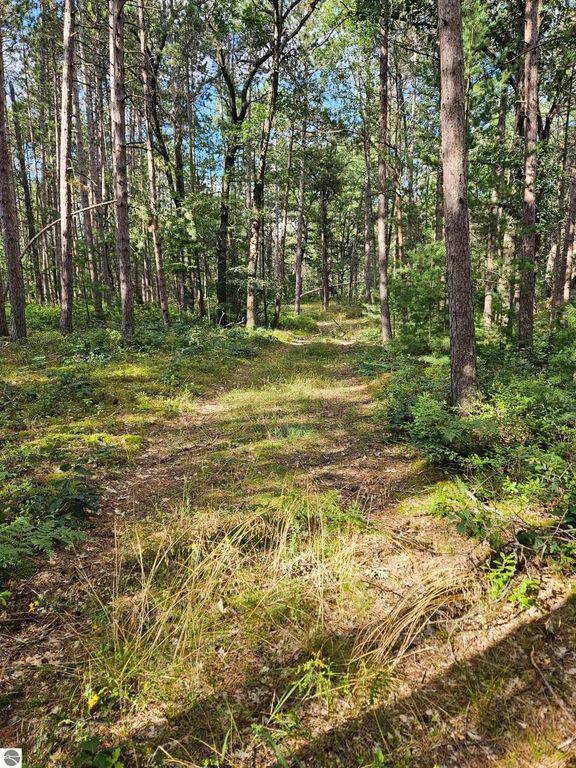 Image 10 of property listing at 0 Curtis Road, Hale, MI 48739