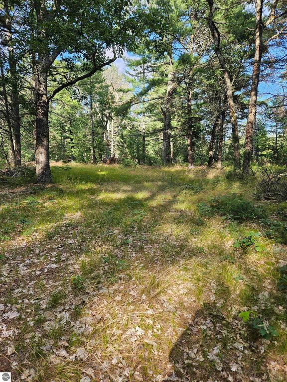 Image 11 of property listing at 0 Curtis Road, Hale, MI 48739