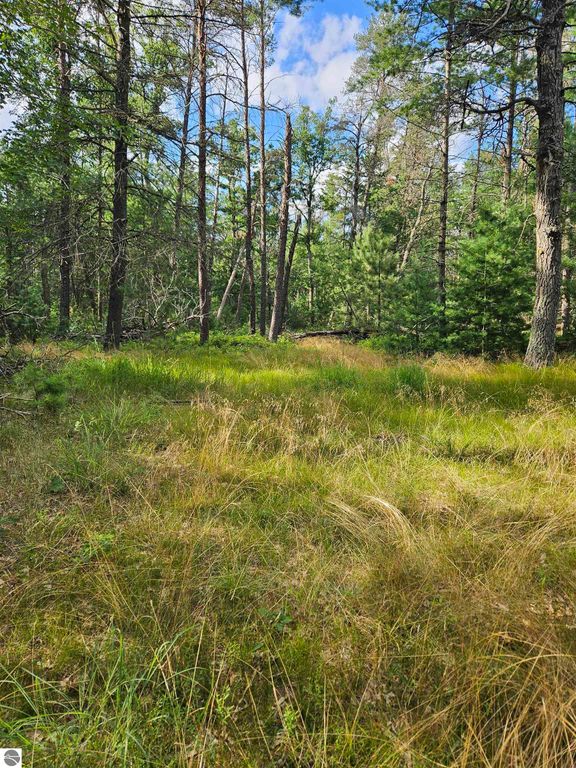 Image 12 of property listing at 0 Curtis Road, Hale, MI 48739