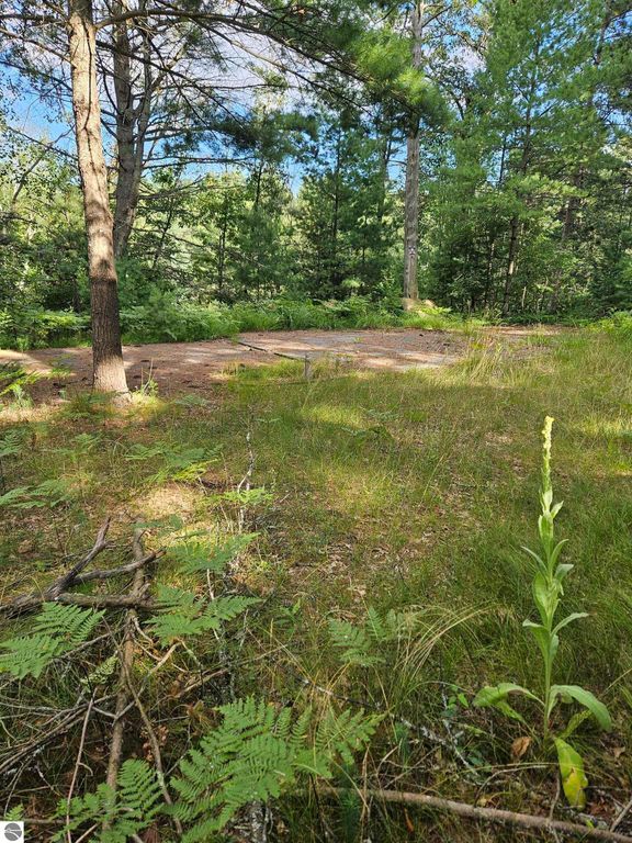 Image 13 of property listing at 0 Curtis Road, Hale, MI 48739