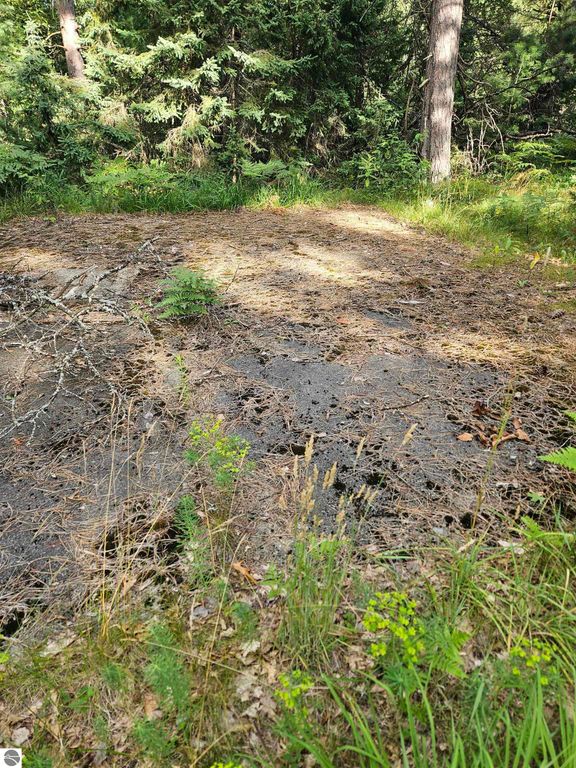 Image 14 of property listing at 0 Curtis Road, Hale, MI 48739