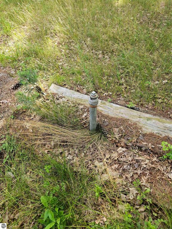 Image 16 of property listing at 0 Curtis Road, Hale, MI 48739