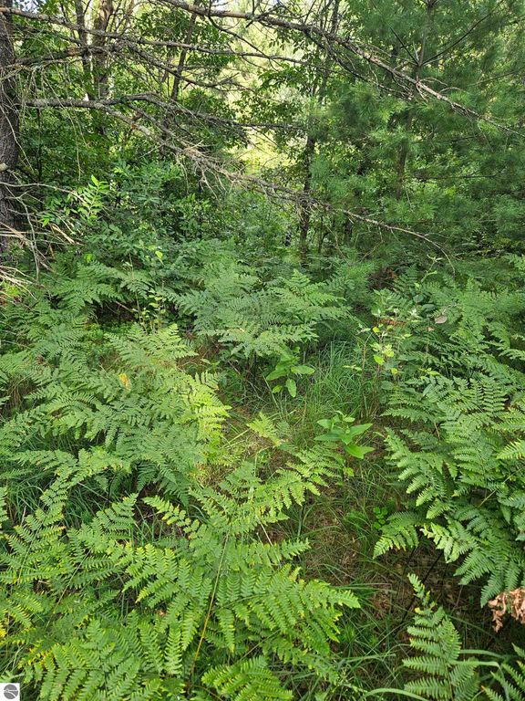 Image 17 of property listing at 0 Curtis Road, Hale, MI 48739