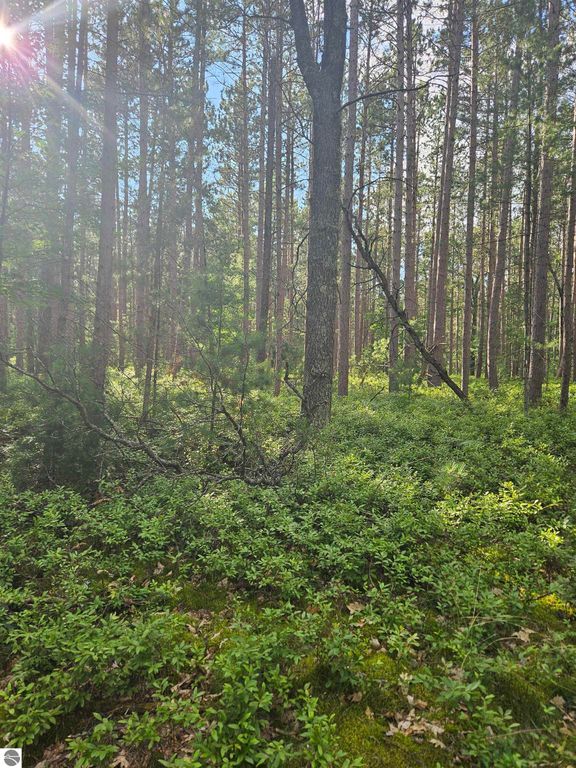 Image 19 of property listing at 0 Curtis Road, Hale, MI 48739