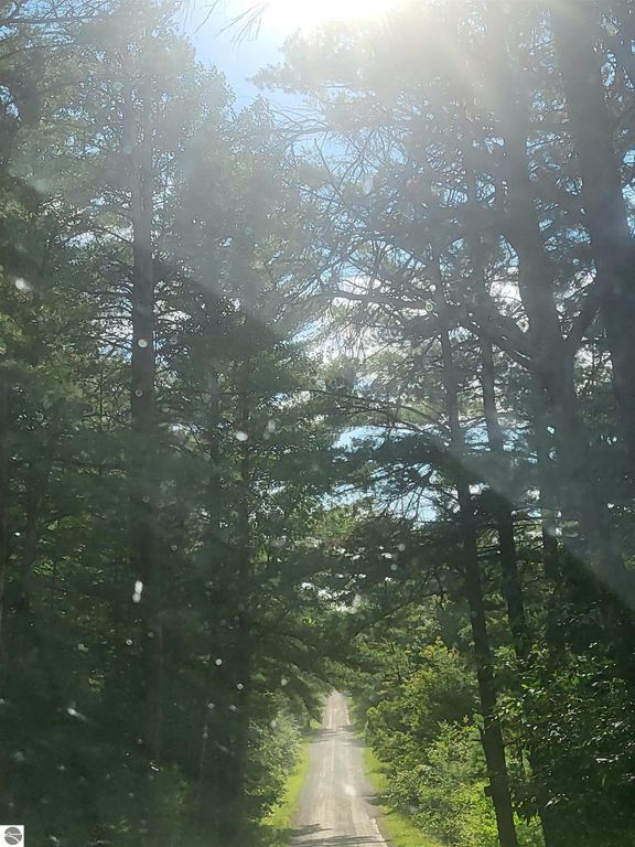 Image 2 of property listing at 0 Curtis Road, Hale, MI 48739