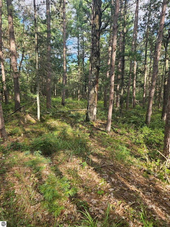 Image 20 of property listing at 0 Curtis Road, Hale, MI 48739