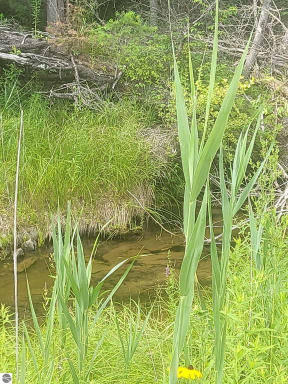 Image 21 of property listing at 0 Curtis Road, Hale, MI 48739