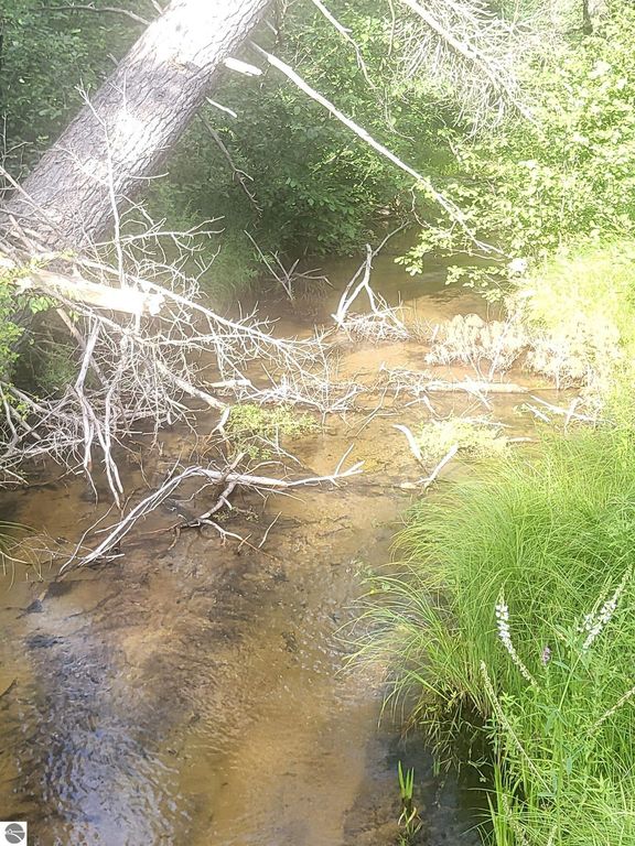 Image 22 of property listing at 0 Curtis Road, Hale, MI 48739