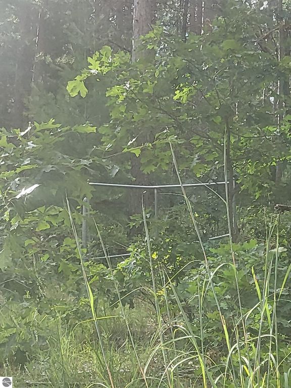 Image 24 of property listing at 0 Curtis Road, Hale, MI 48739