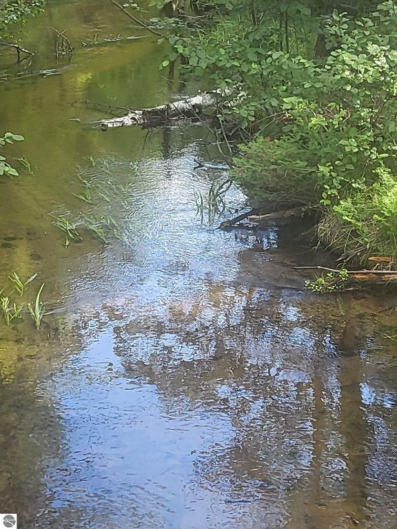 Image 25 of property listing at 0 Curtis Road, Hale, MI 48739