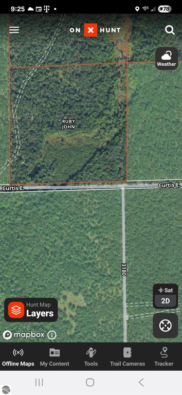 Image 3 of property listing at 0 Curtis Road, Hale, MI 48739