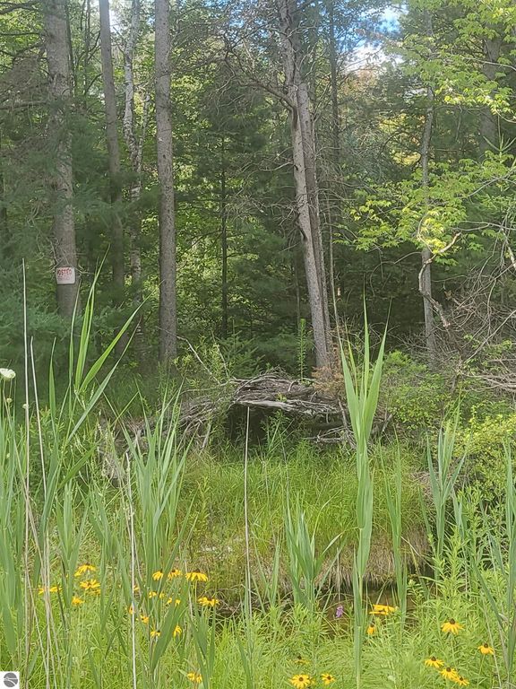 Image 6 of property listing at 0 Curtis Road, Hale, MI 48739