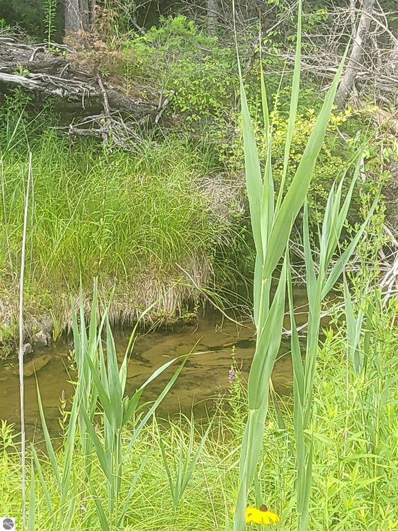 Image 7 of property listing at 0 Curtis Road, Hale, MI 48739