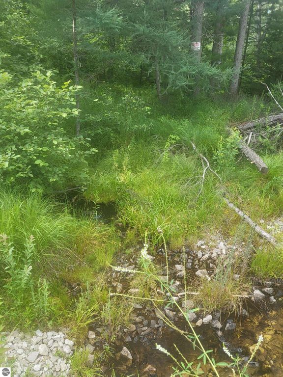 Image 8 of property listing at 0 Curtis Road, Hale, MI 48739