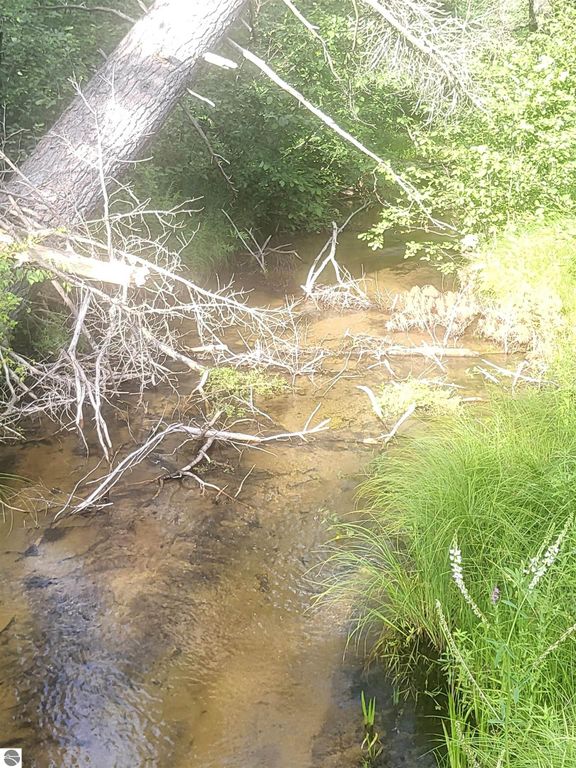 Image 9 of property listing at 0 Curtis Road, Hale, MI 48739