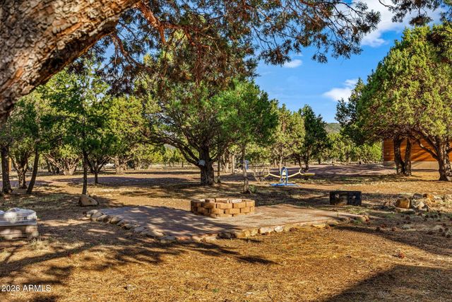 31 E COUNTY ROAD N2163 Drive, Nutrioso, AZ 85932